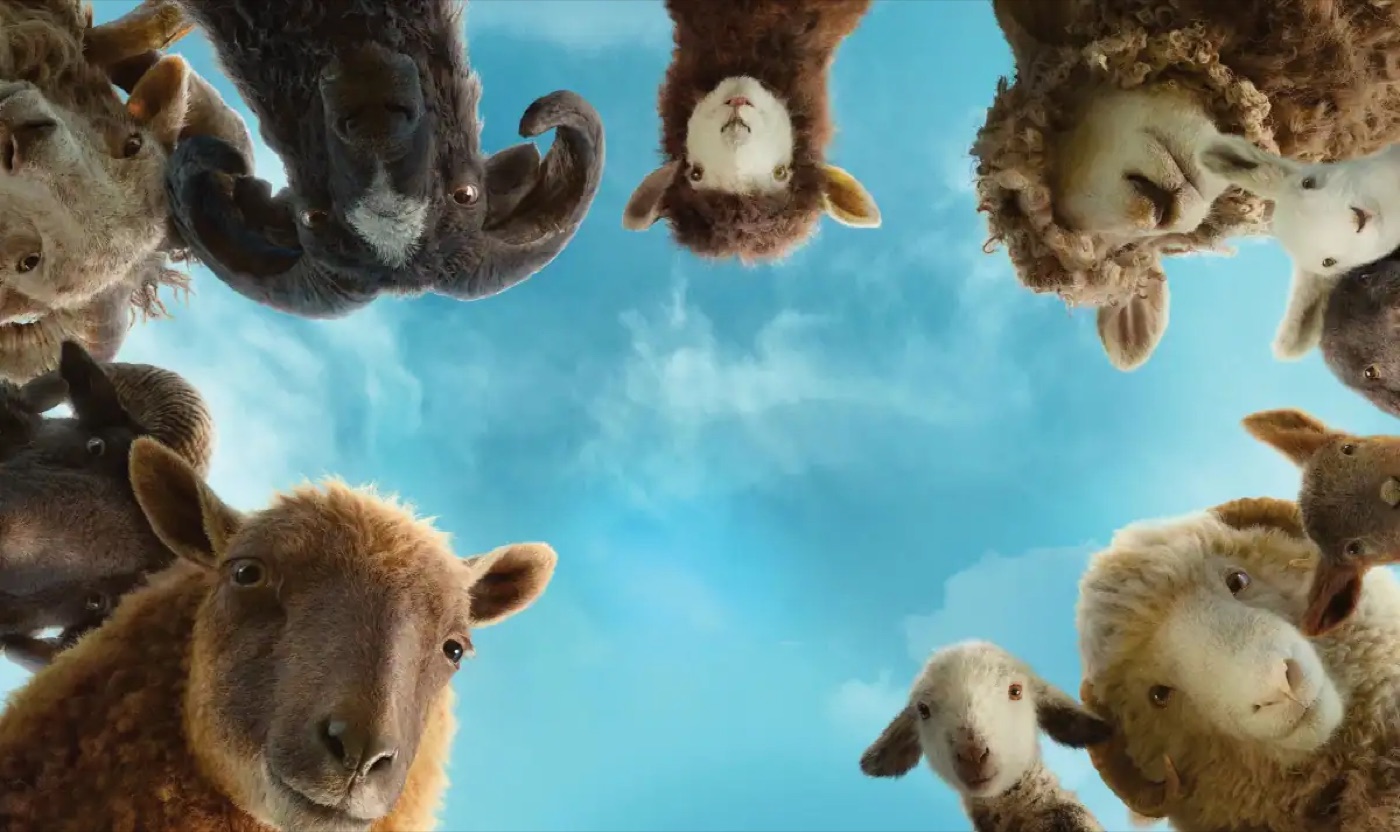 The Sheep Detectives filminden bir kare
